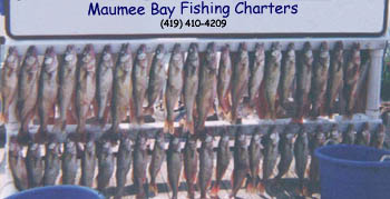 Maumee Bay Fishing Charters